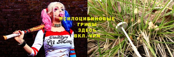 ешки Краснослободск