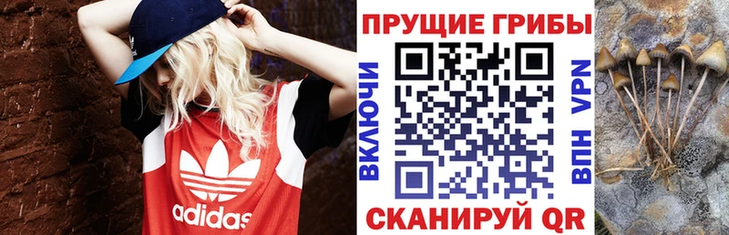 Галлюциногенные грибы Magic Shrooms  Купить где  Чухлома 